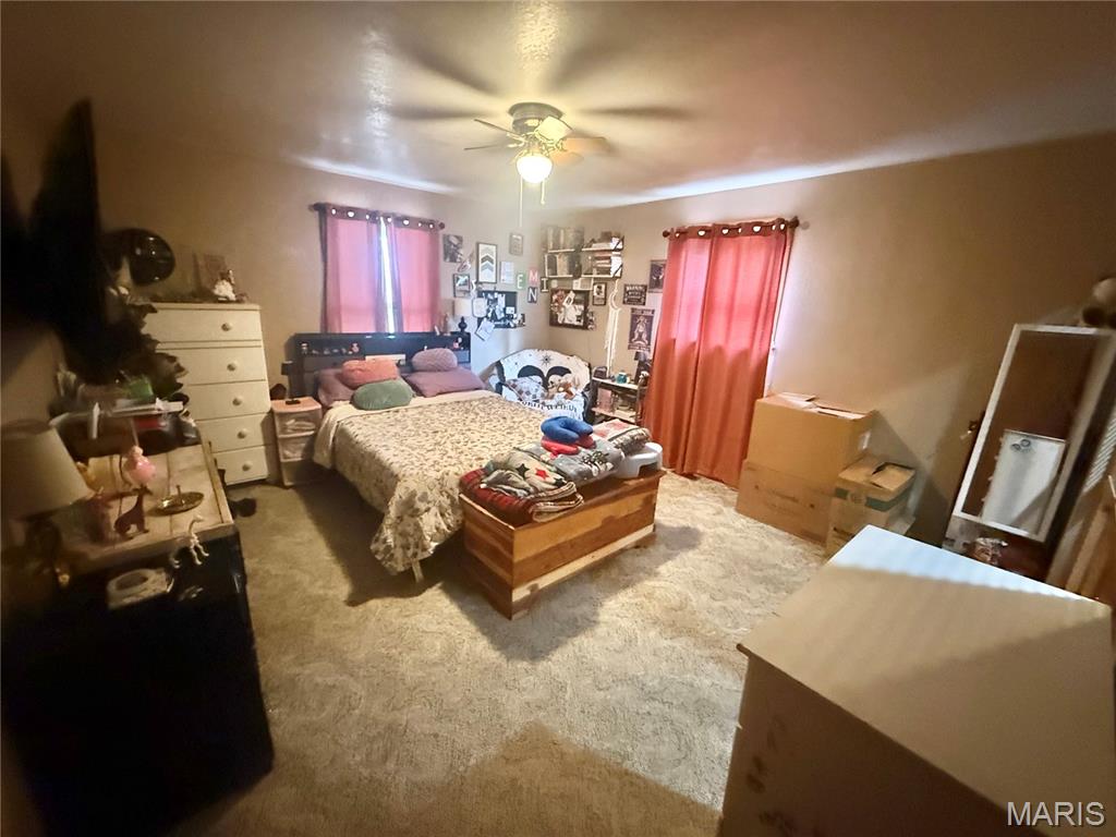 3230 Highway 72 Fredericktown, MO 63645 - Photo 33 of 43