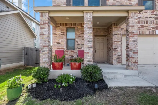 a view of a bunch of flowers