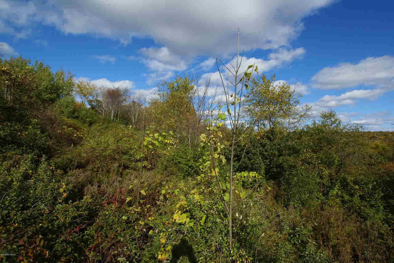 0 Middle Road Granville, NY 12832 - Photo 4 of 5 Photo 4