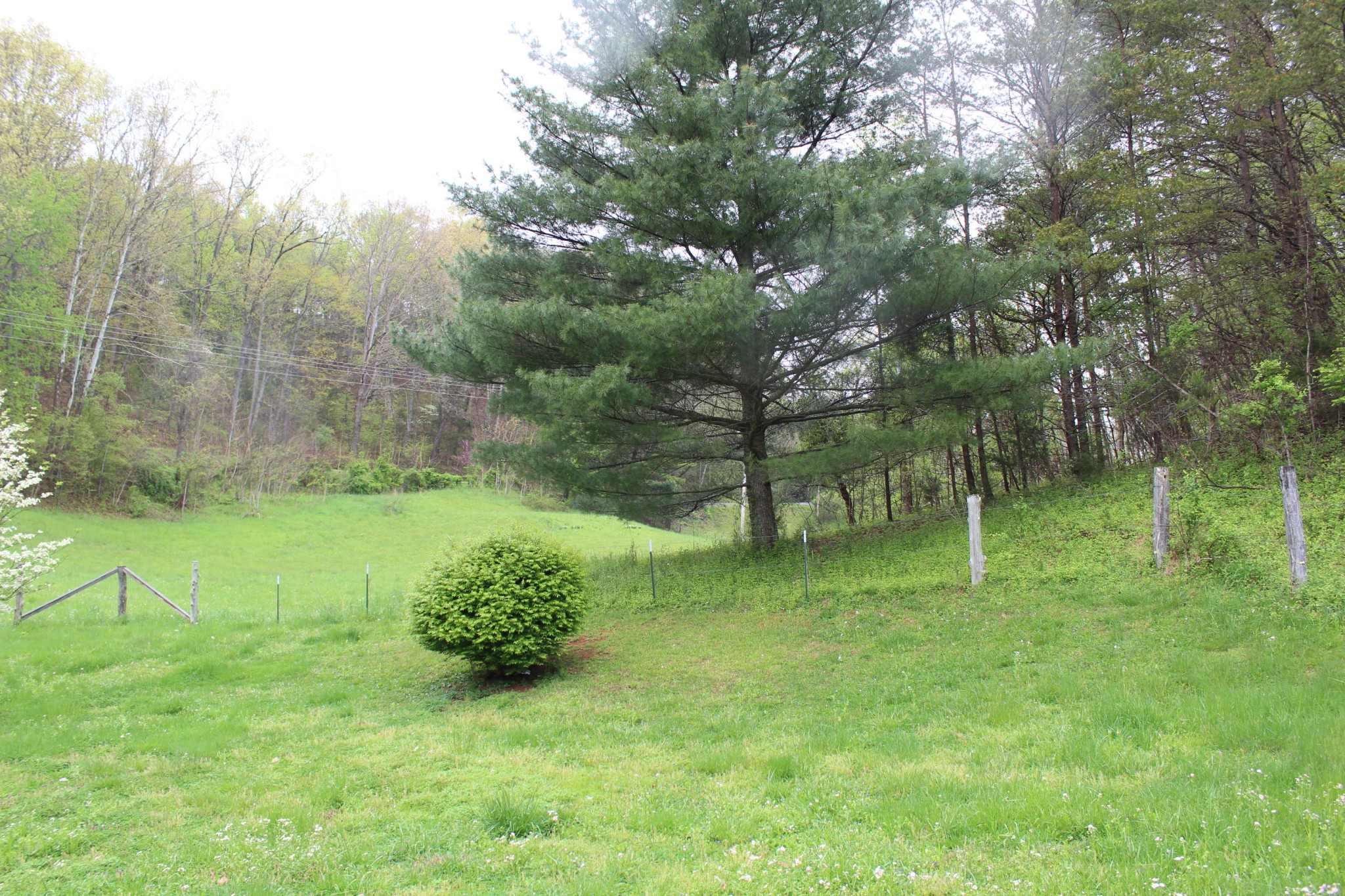 255 Chestnut Stump Road La Follette, TN 37766 - Photo 18 of 18 Gallery Image 18