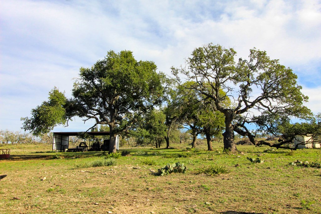 963 Josephine Road Harper, TX 78631 - Photo 2 of 15 a view of a house with a yard