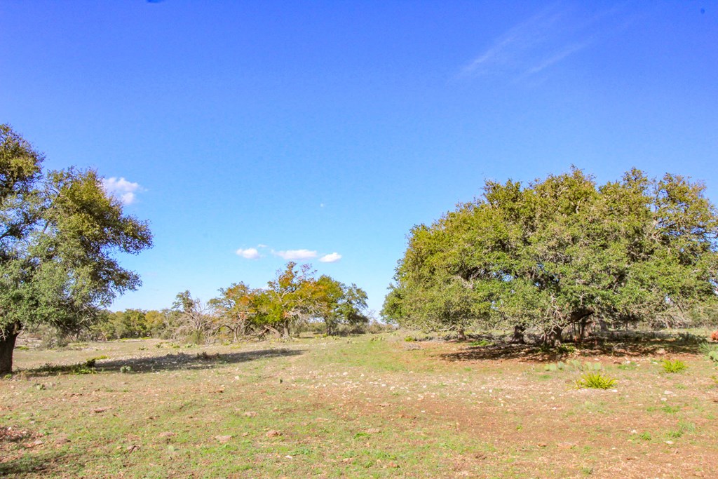 963 Josephine Road Harper, TX 78631 - Photo 3 of 15 a view of ocean with a house in the background