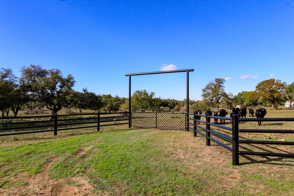 963 Josephine Road Harper, TX 78631 - Photo 6 of 15 a view of outdoor space with seating
