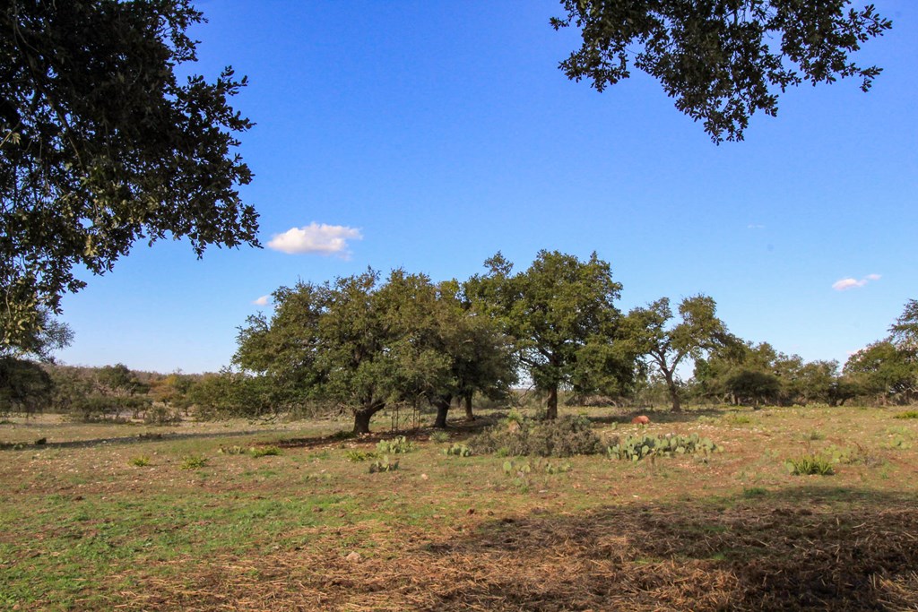 963 Josephine Road Harper, TX 78631 - Photo 9 of 15 a view of lake with mountain