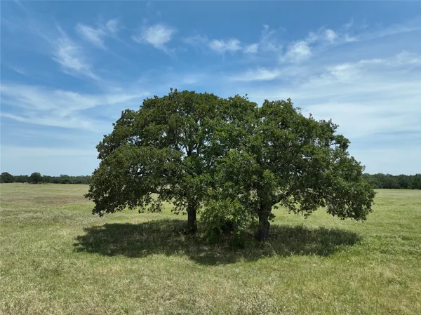 $279,000 | Lot 3-tbd Rd Ledbetter Tx 78946 Road, Ledbetter, TX 78946