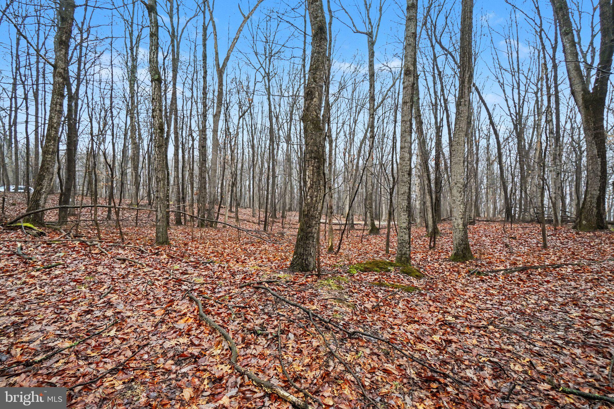 Lot Indian Indian Peg Road Boiling Springs, PA 17007 - Photo 1 of 15 a view of outdoor space with wooden fence