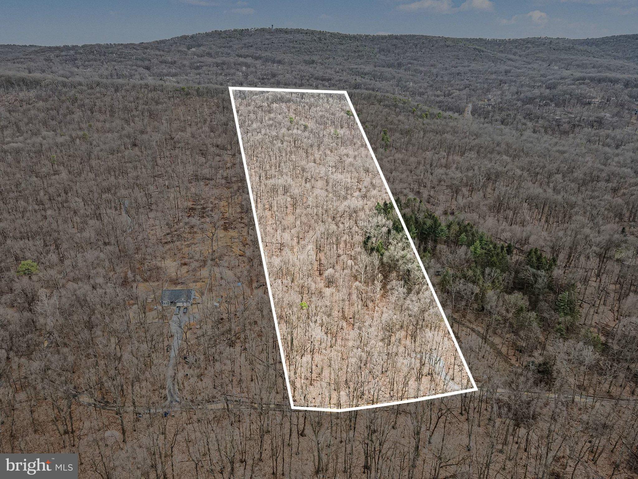 Lot Indian Indian Peg Road Boiling Springs, PA 17007 - Photo 11 of 15 swimming pool view