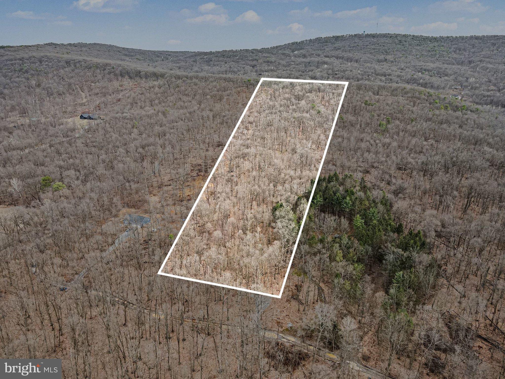 Lot Indian Indian Peg Road Boiling Springs, PA 17007 - Photo 12 of 15 view of a dry yard with large tree