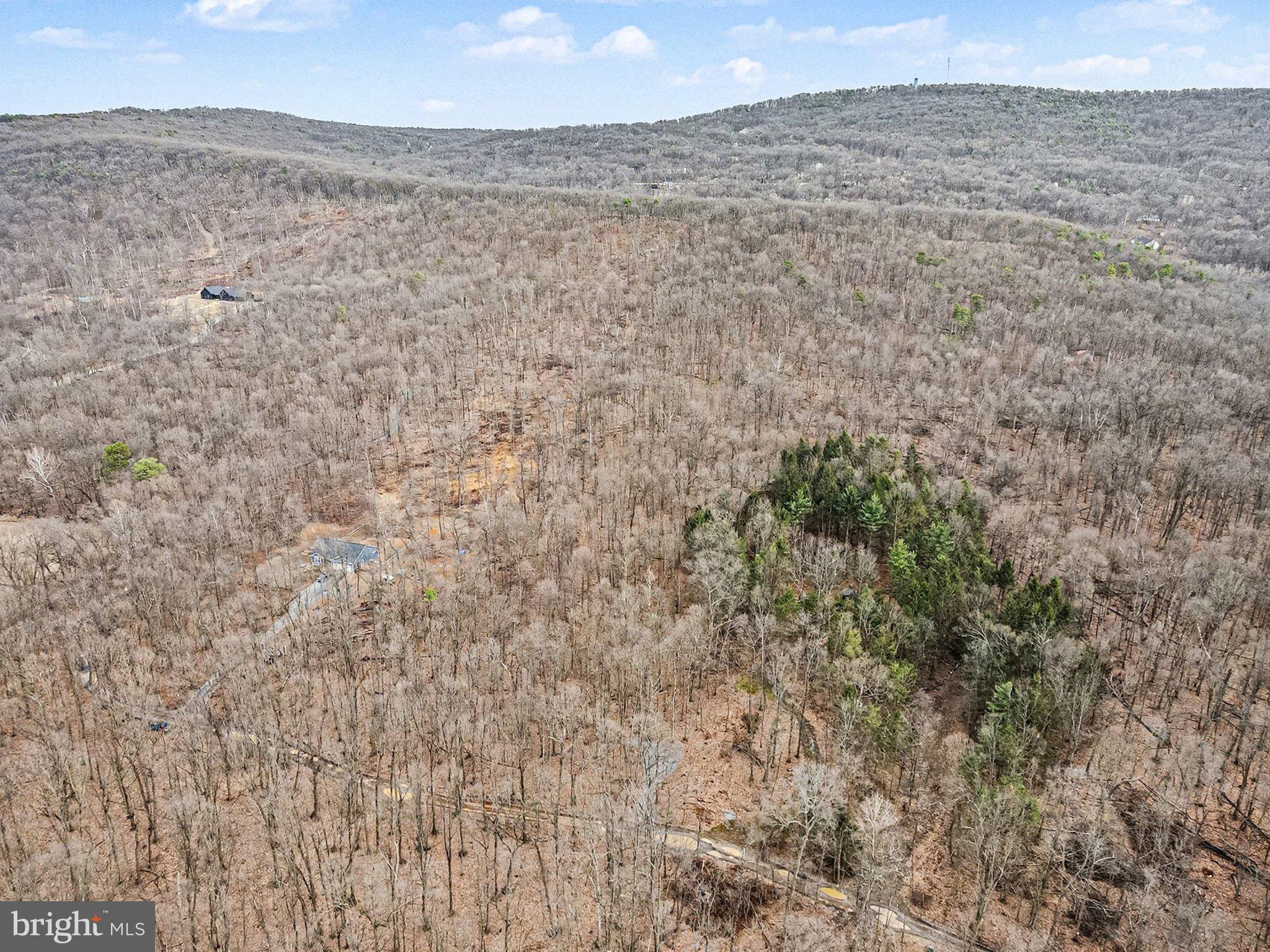 Lot Indian Indian Peg Road Boiling Springs, PA 17007 - Photo 15 of 15 a view of a dry yard with trees in the background