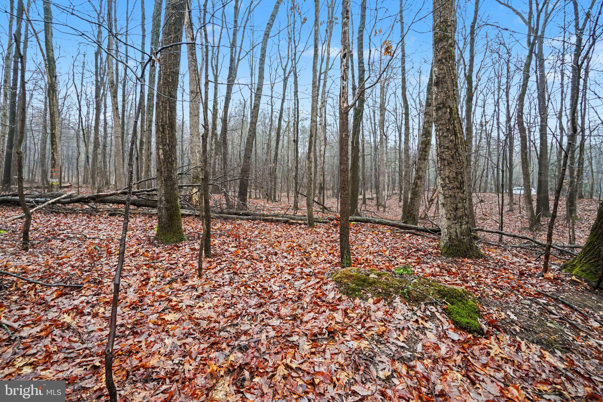 Lot Indian Indian Peg Road Boiling Springs, PA 17007 - Photo 2 of 15 a backyard of a house with lots of green space