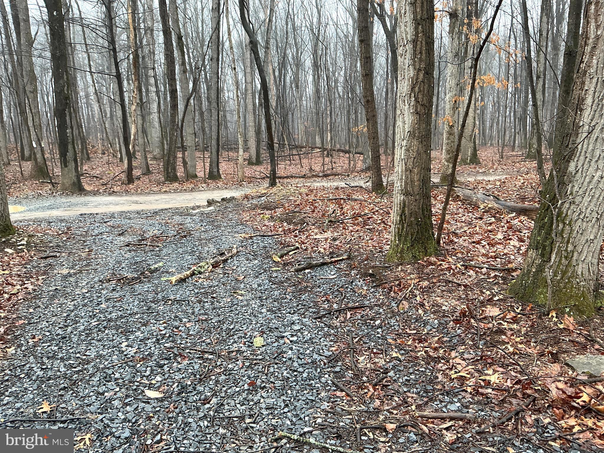 Lot Indian Indian Peg Road Boiling Springs, PA 17007 - Photo 5 of 15 a view of outdoor space with trees
