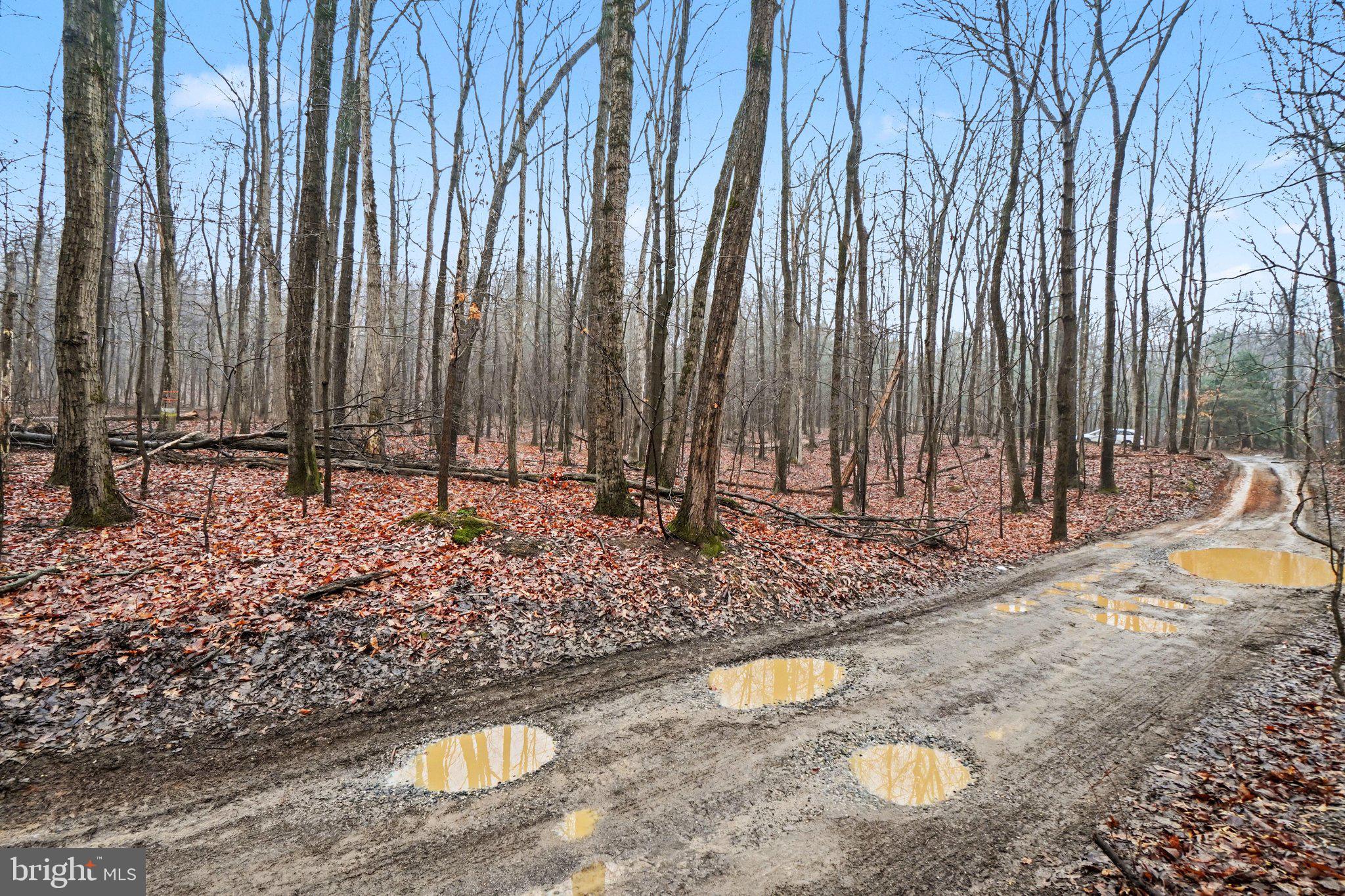 Lot Indian Indian Peg Road Boiling Springs, PA 17007 - Photo 8 of 15 a view of a backyard with of water