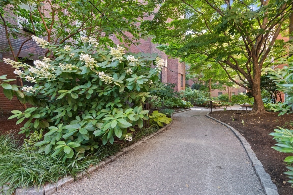 28 Beaufort Road, Unit 2 Boston, MA 02130 - Photo 15 of 21