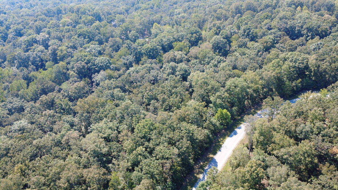 Lot 18 Minnow Road Murray, KY 42071 - Photo 10 of 15 FABBA2CE-DA71-49BB-AF48-F1C6089D2181_1_1