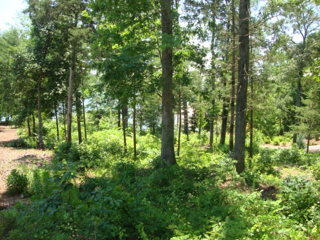 Lot 33 Moonlight Bay Seneca, SC 29672 - Photo 17 of 35 Gallery Image 17