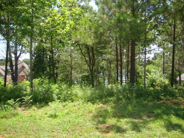 Lot 33 Moonlight Bay Seneca, SC 29672 - Photo 8 of 35 Gallery Image 8
