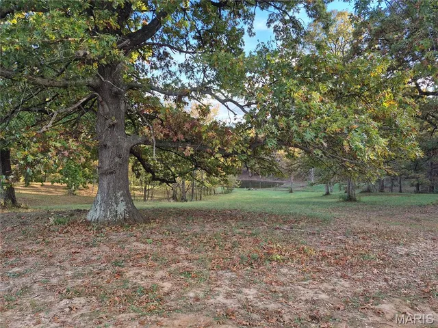 $244,800 | 0 Highway D - Tract 10 (14.4 /- Acres) Eolia Mo 63344, Eolia, MO 63344