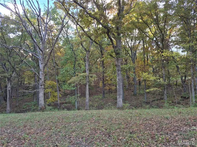 $244,800 | 0 Highway D - Tract 10 (14.4 /- Acres) Eolia Mo 63344, Eolia, MO 63344