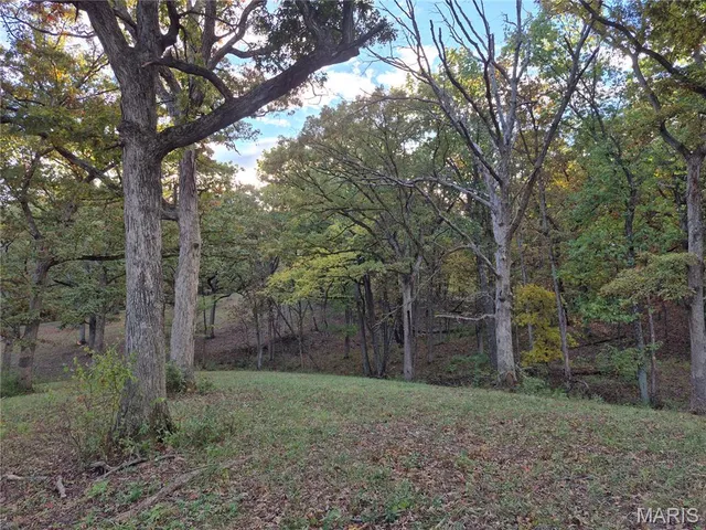 $244,800 | 0 Highway D - Tract 10 (14.4 /- Acres) Eolia Mo 63344, Eolia, MO 63344