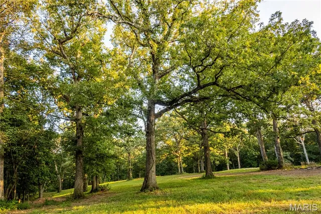 $244,800 | 0 Highway D - Tract 10 (14.4 /- Acres) Eolia Mo 63344, Eolia, MO 63344