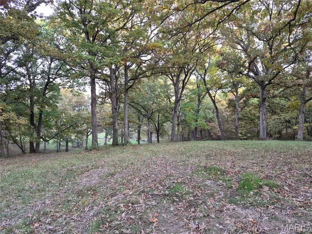$244,800 | 0 Highway D - Tract 10 (14.4 /- Acres) Eolia Mo 63344, Eolia, MO 63344