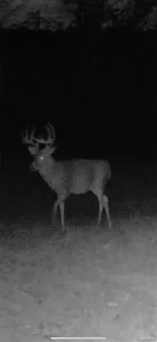 $244,800 | 0 Highway D - Tract 10 (14.4 /- Acres) Eolia Mo 63344, Eolia, MO 63344