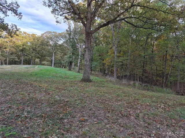 $244,800 | 0 Highway D - Tract 10 (14.4 /- Acres) Eolia Mo 63344, Eolia, MO 63344