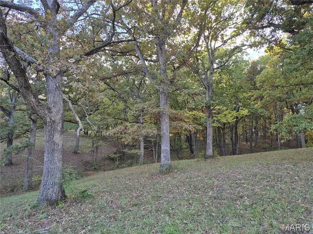 $244,800 | 0 Highway D - Tract 10 (14.4 /- Acres) Eolia Mo 63344, Eolia, MO 63344