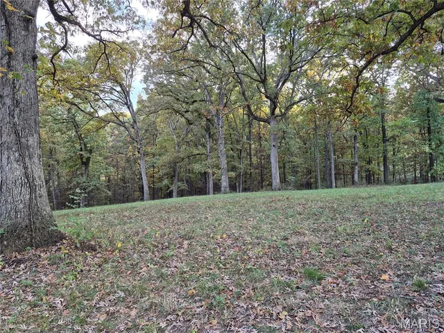 $244,800 | 0 Highway D - Tract 10 (14.4 /- Acres) Eolia Mo 63344, Eolia, MO 63344