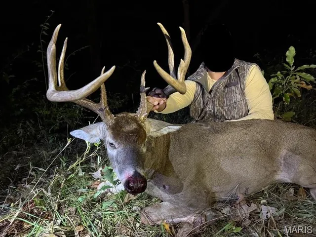 $244,800 | 0 Highway D - Tract 10 (14.4 /- Acres) Eolia Mo 63344, Eolia, MO 63344