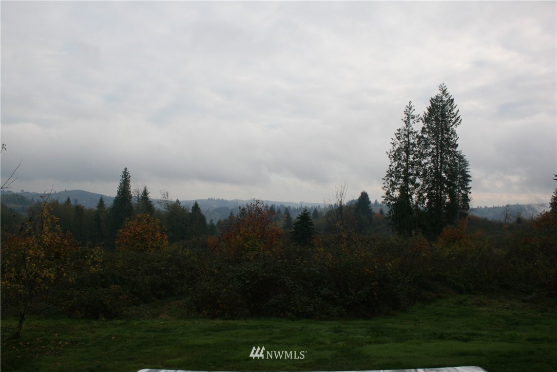 225 Car Road Longview, WA 98632 - Photo 21 of 23