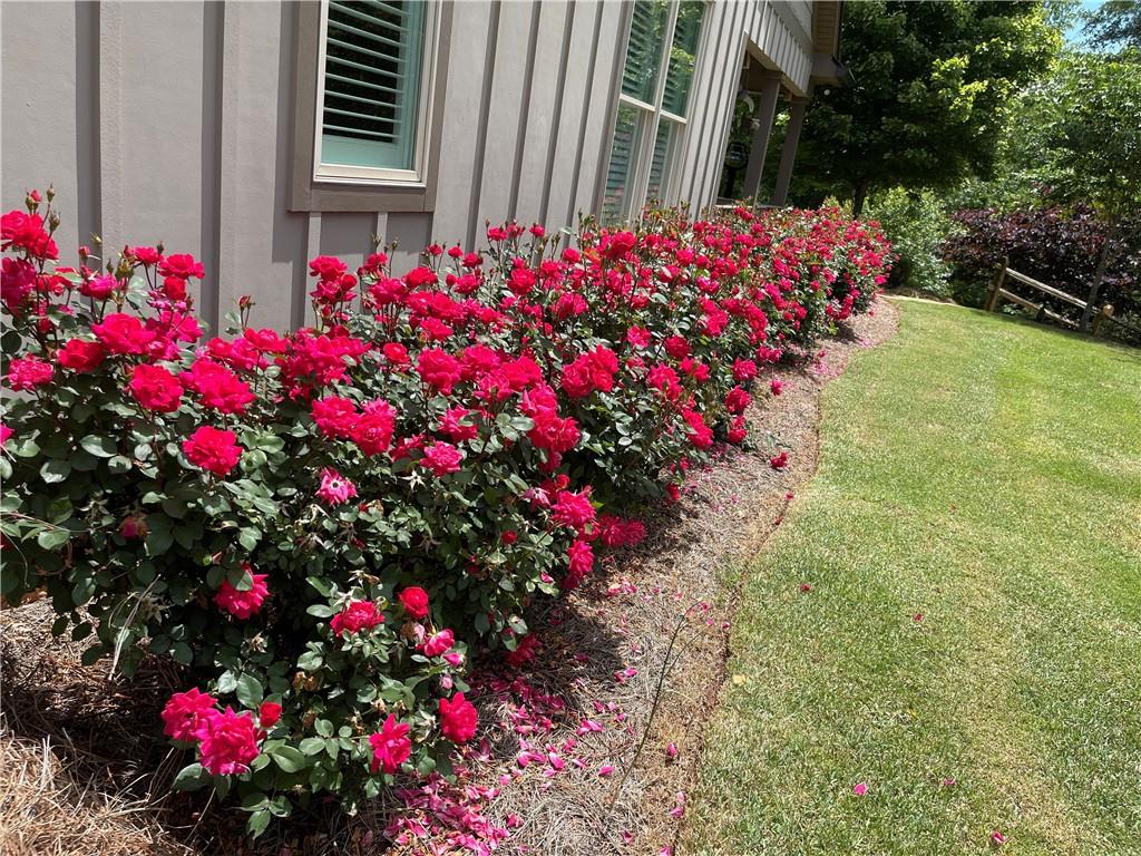 1620 Pond Fork Church Road Talmo, GA 30575 - Photo 43 of 73 a flower plants in front of a house