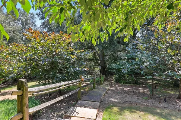 a view of a garden with plants
