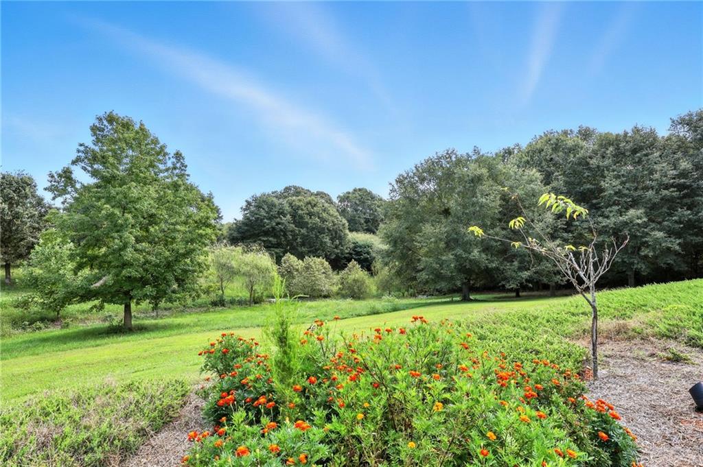 1620 Pond Fork Church Road Talmo, GA 30575 - Photo 52 of 73 a view of a garden with a tree in the background