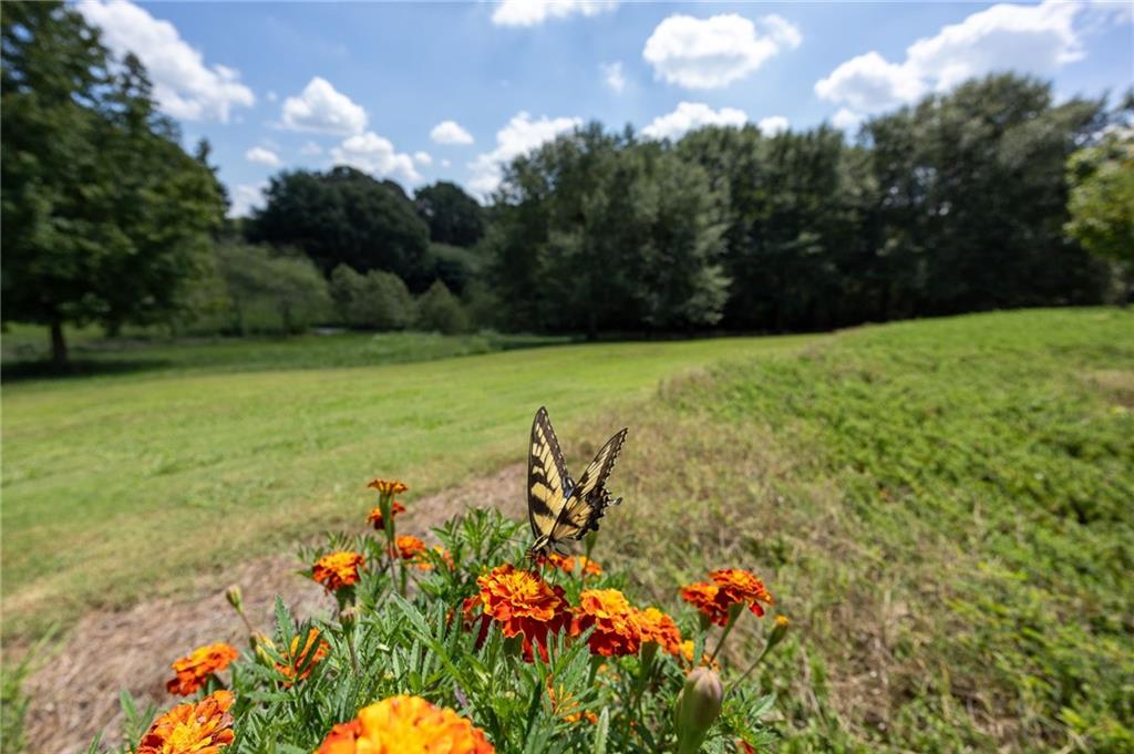 1620 Pond Fork Church Road Talmo, GA 30575 - Photo 54 of 73