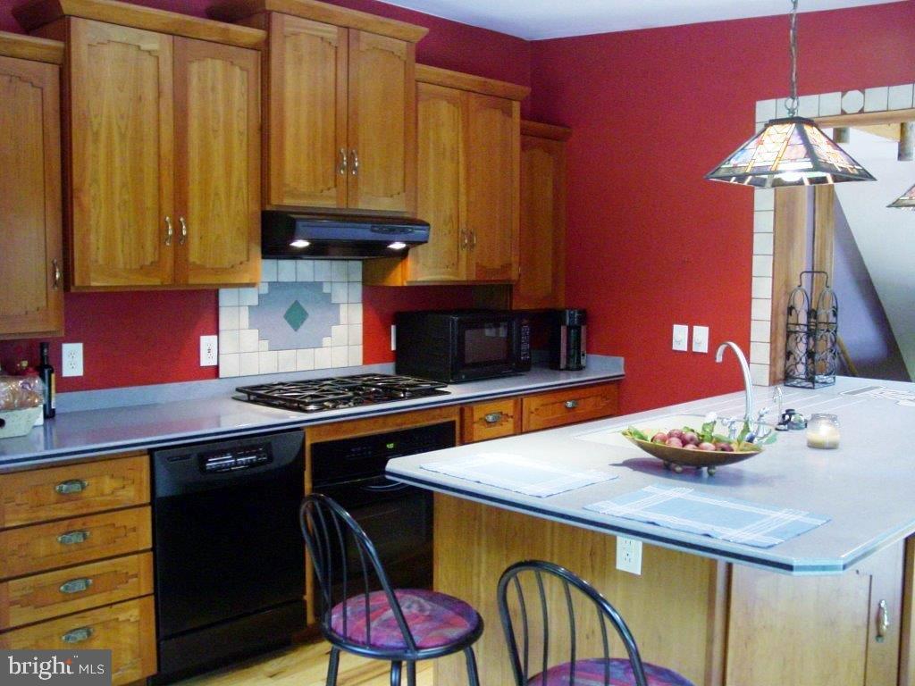 8 Mountain Spring Road Stevens, PA 17578 - Photo 11 of 43