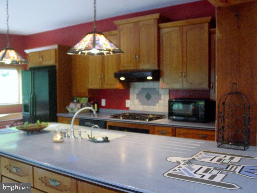 8 Mountain Spring Road Stevens, PA 17578 - Photo 9 of 43