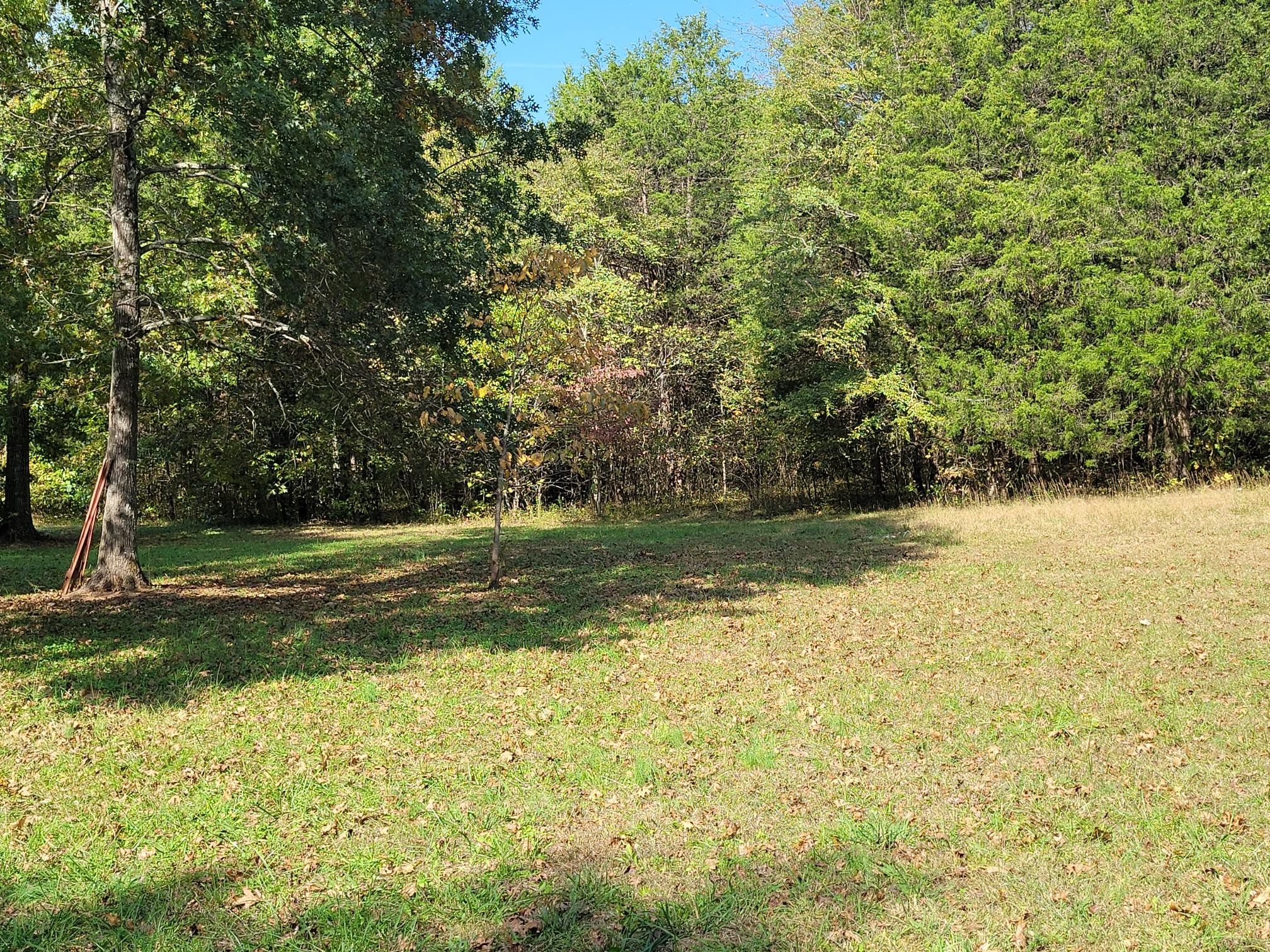 2314 Joe Brown Road Spring Hill, TN 37174 - Photo 8 of 28 a view of a yard with a trees