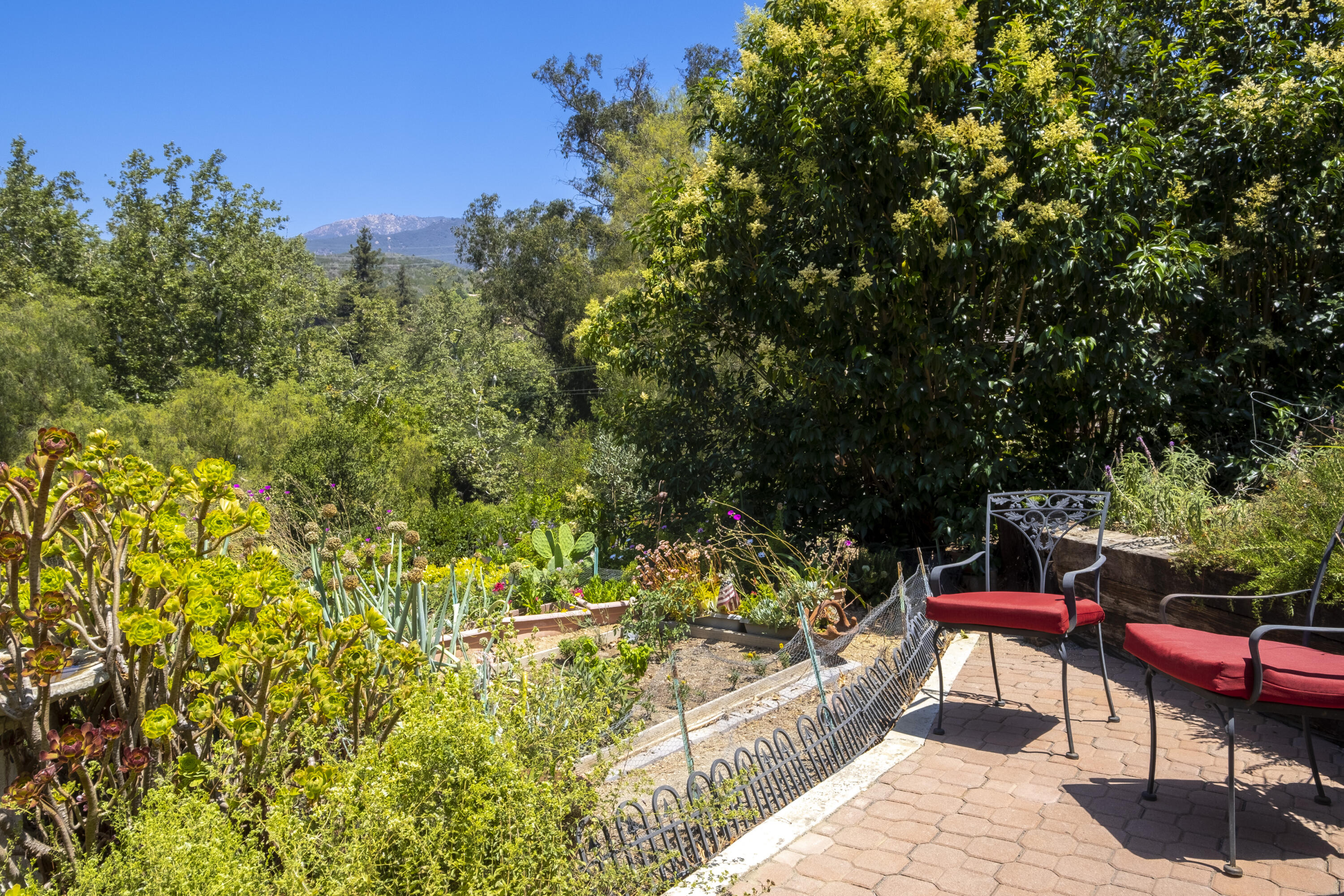 585 Sycamore Vista Road Santa Barbara, CA 93108 - Photo 18 of 26 Garden