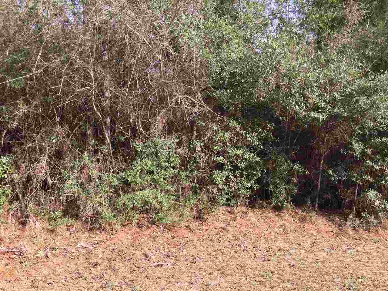 0 East Erin Pond Road Seminole, AL 36574 - Photo 4 of 7