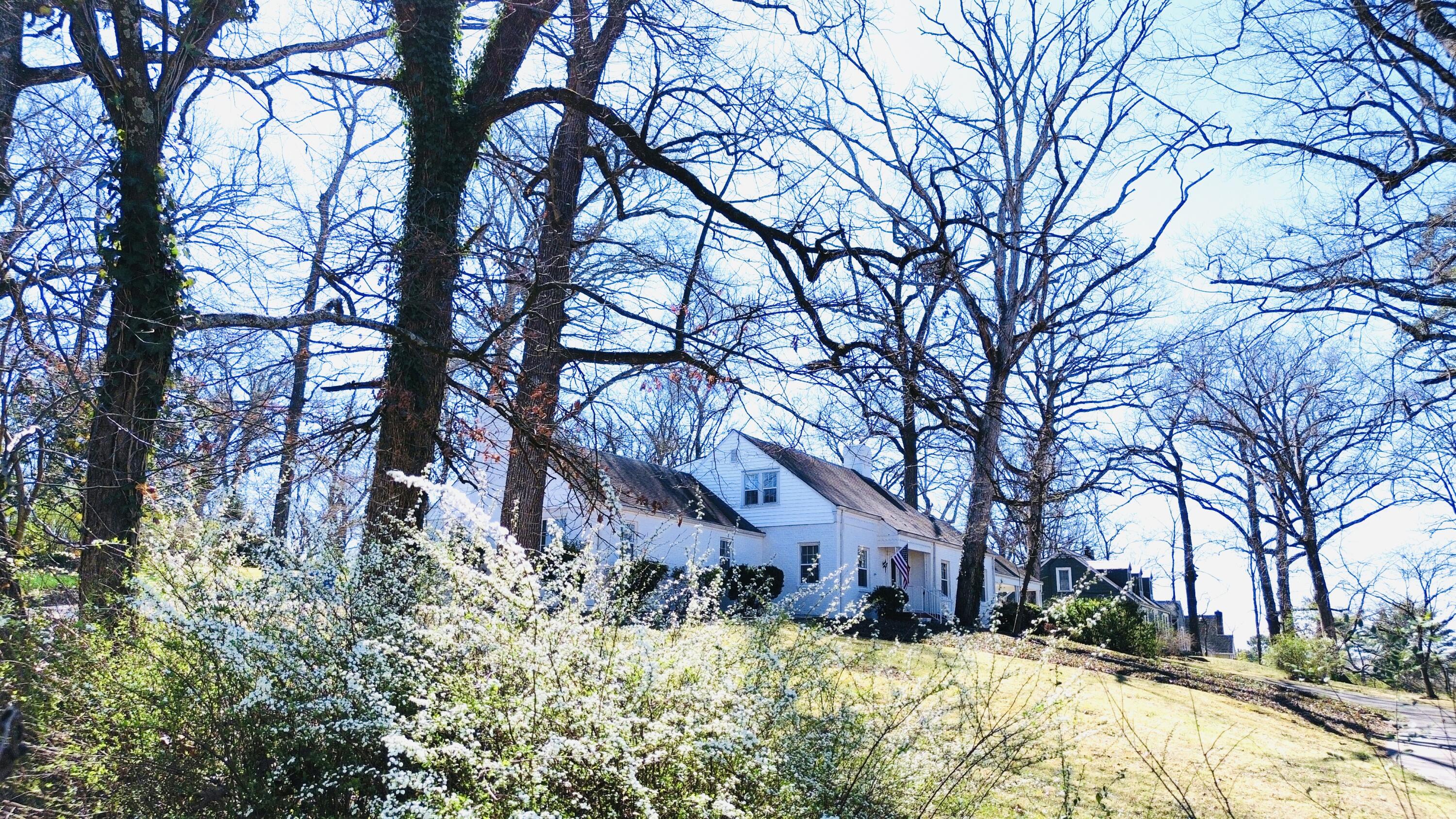 315 Bass Road Chattanooga, TN 37421 - Photo 3 of 20 dji_fly_20250311_123022_212_174171078256