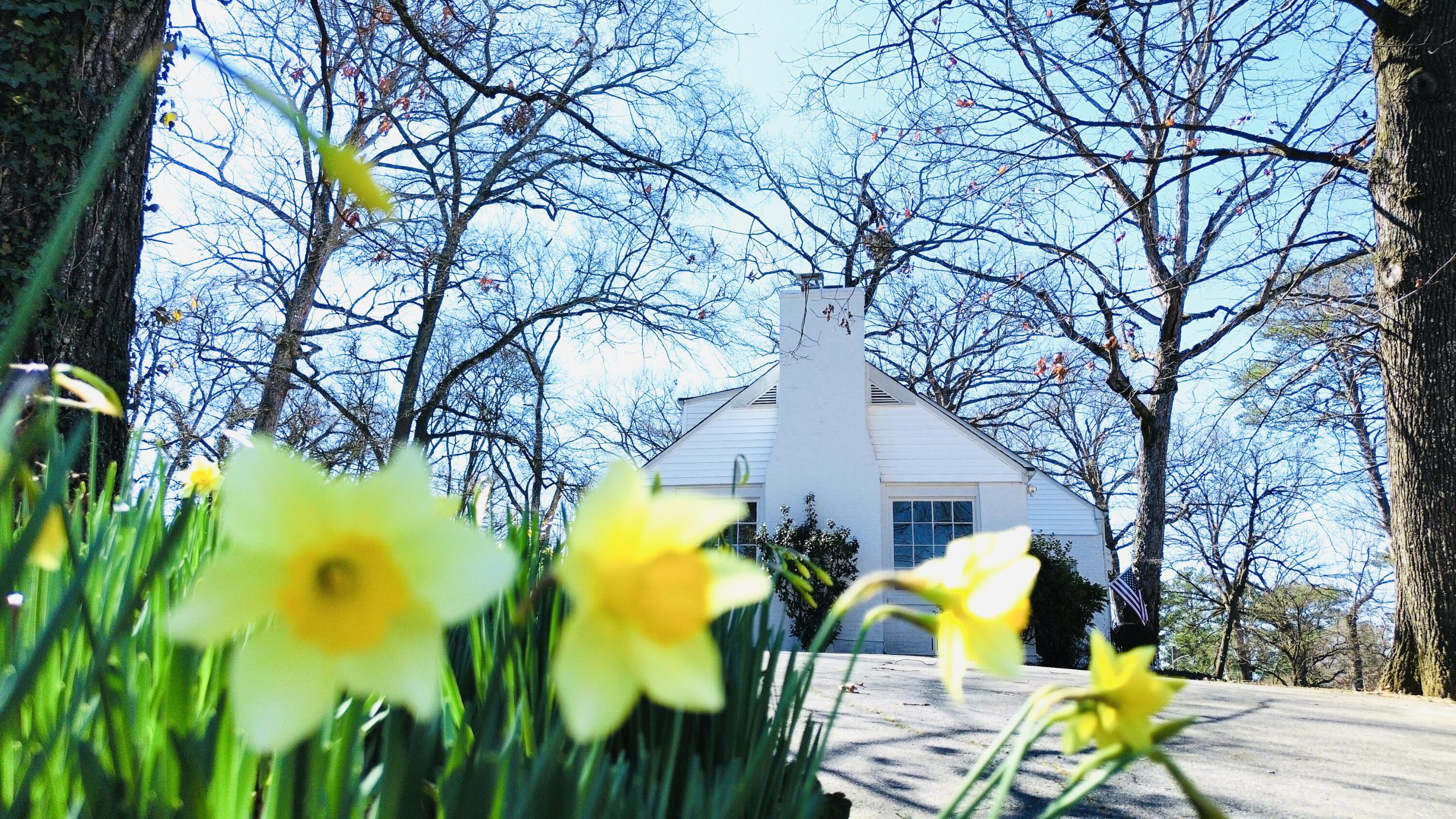 315 Bass Road Chattanooga, TN 37421 - Photo 4 of 20 dji_fly_20250311_123106_214_174171079338