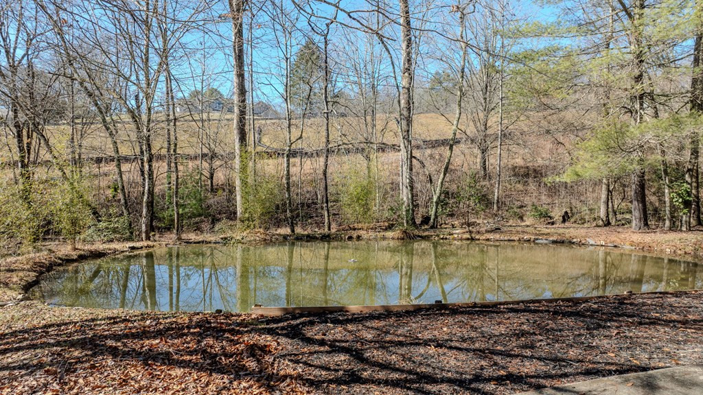 214 Hedden Road Murphy, NC 28906 - Photo 8 of 65