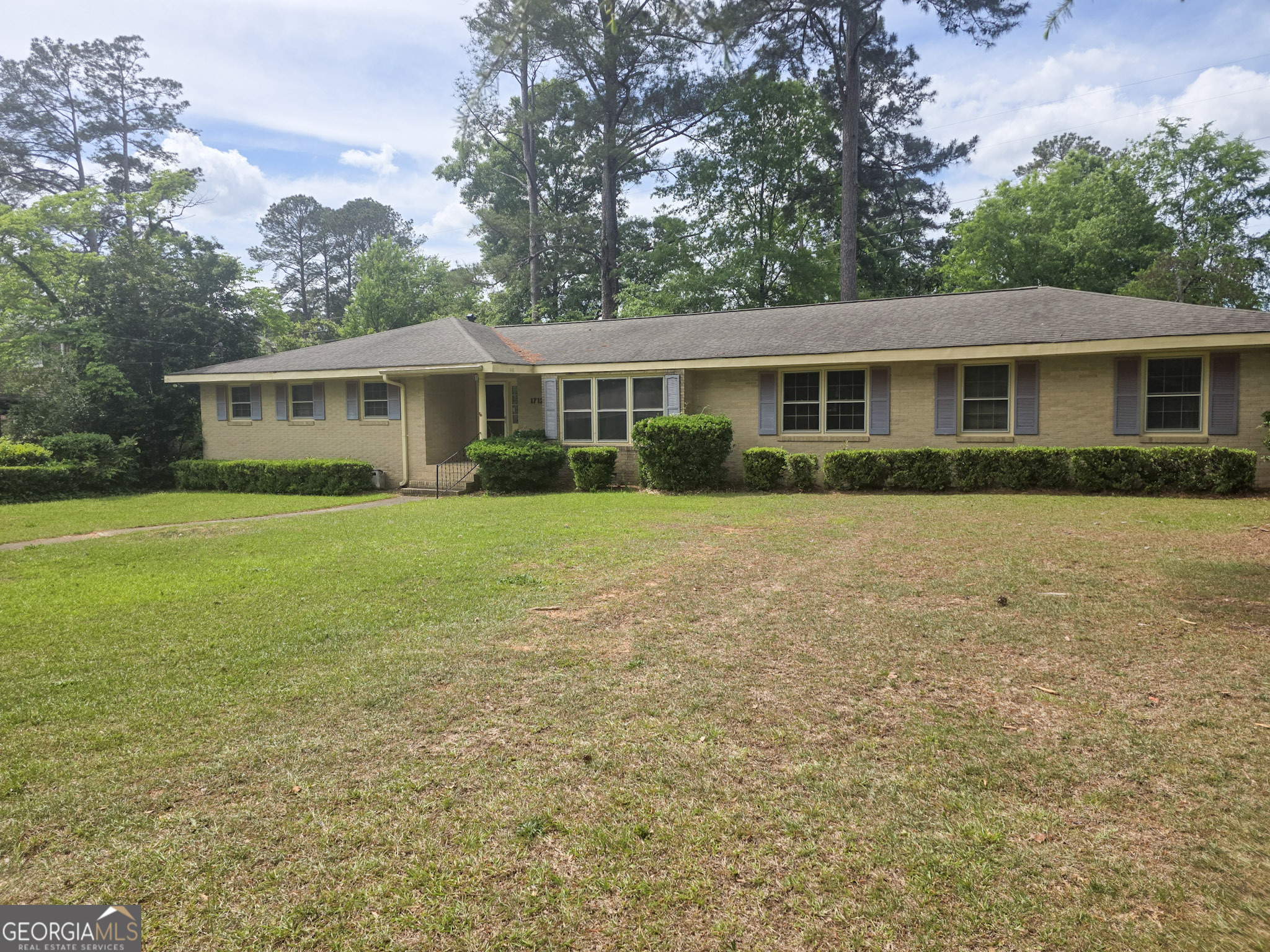 a front view of house with yard and green space
