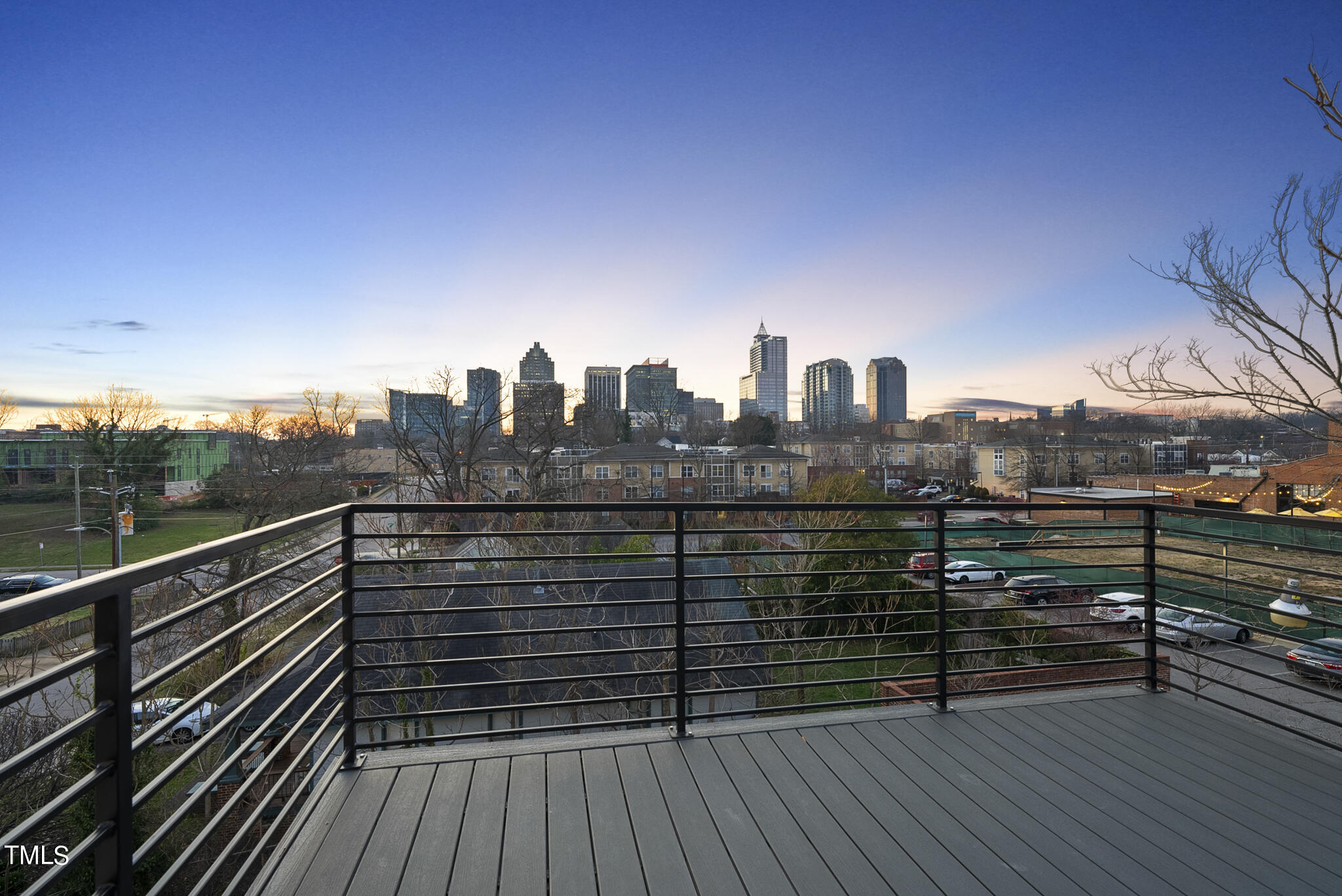 517 East Cabarrus Street Raleigh, NC 27601 - Photo 46 of 58 a view of city with roof deck