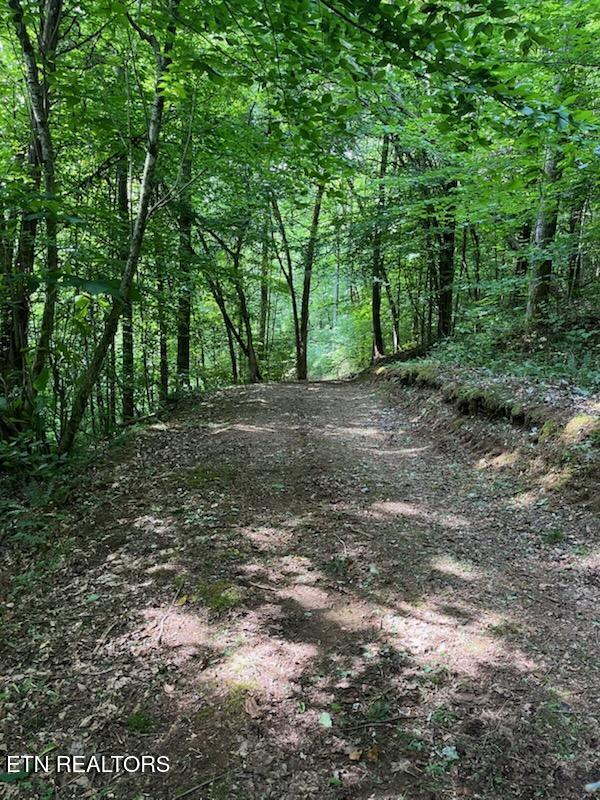 525 Braden Chapel Road Speedwell, TN 37870 - Photo 10 of 21 IMG956505