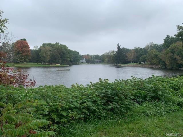 0 Winn Lake Road Lapeer, MI 48446 - Photo 6 of 10