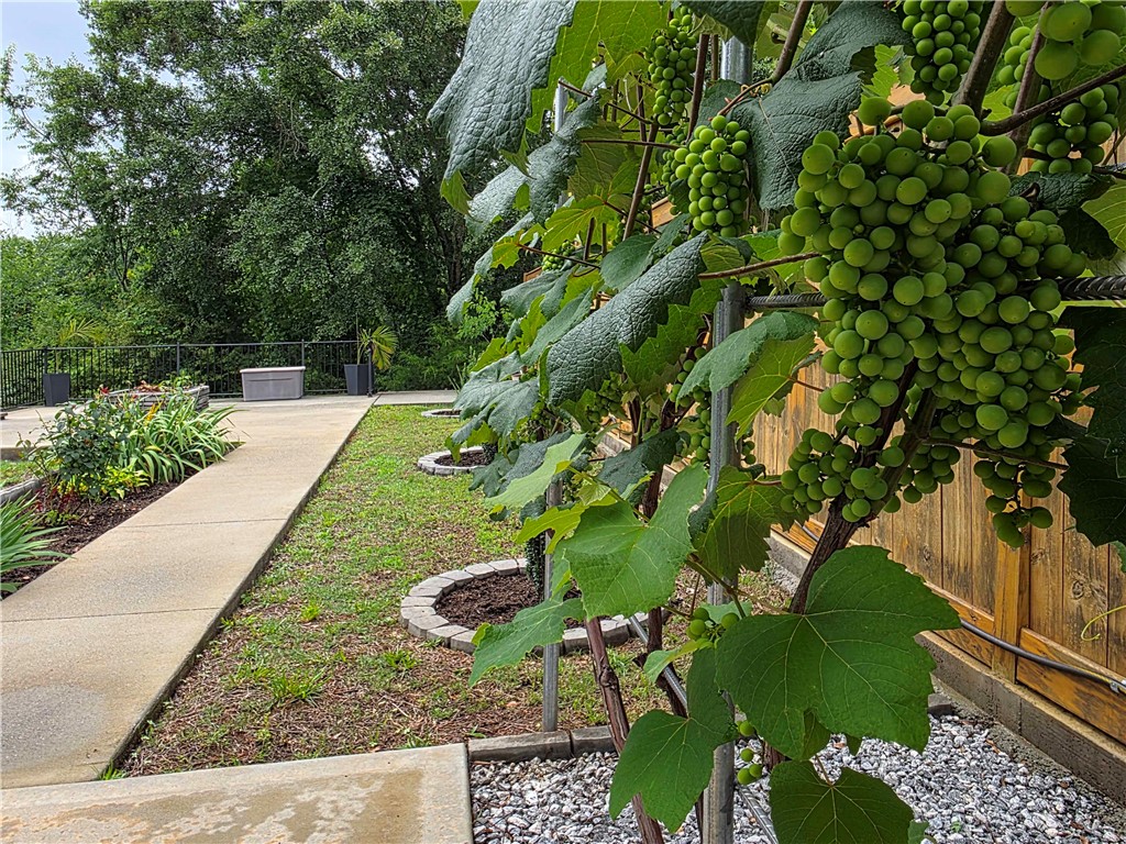224 Bronson Ridge Anderson, SC 29621 - Photo 29 of 42 Cultivate your own vineyard dreams with this charming outdoor space.