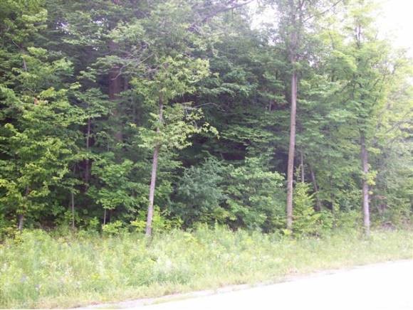 60 Donaldson Road Swanton, VT 05488 - Photo 2 of 9