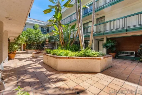 a view of a patio with plants and potted plants